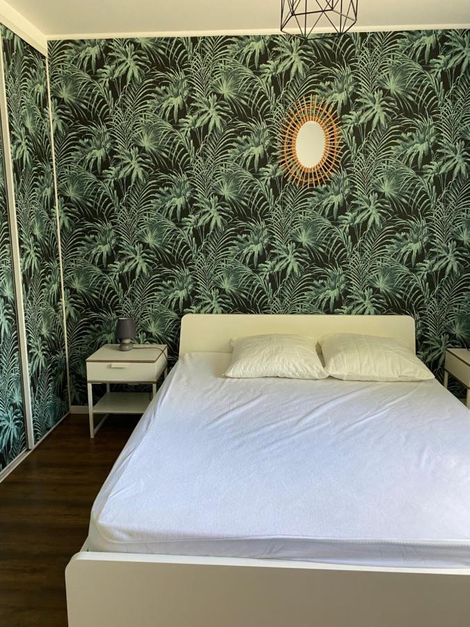 מונפלייה Jolie Villa Avec Jacuzzi Hopitaux Facultes מראה חיצוני תמונה